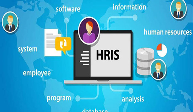 SV-HRIS giao diện sử dụng như công cụ Excel