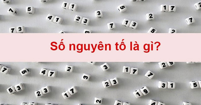 Số nguyên tố là gì? Thừa số nguyên tố là gì? Ví dụ minh họa