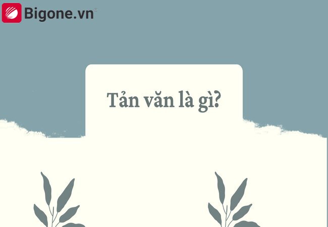 Tản văn là gì?