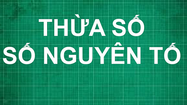 Thừa số nguyên tố là gì