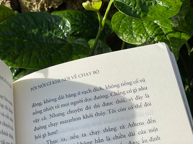 Tôi nói gì khi nói về chạy bộ