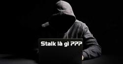 Stalk là gì? Stalk Facebook, Stalk Instagram là gì? Cách để không bị Stalk là gì?