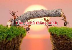 Giải thích ý nghĩa câu “Cần cù bù thông minh”